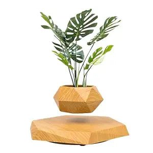 Gravity-Defying Wooden Planter - Levitates and Rotates | Ideal for Bonsai | Elegant Home and Office Decor | Perfect Unique Gift - Memories InsiteFLOATING PLANT
